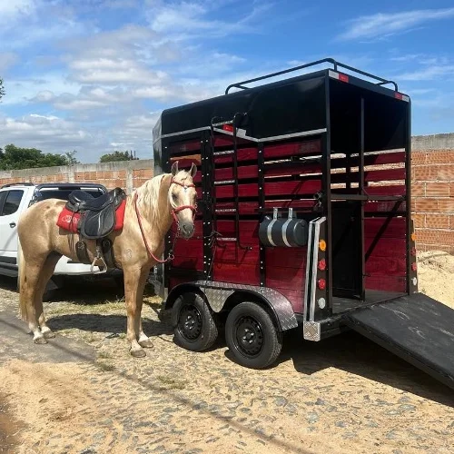 Carretinha Cavalo - Imagem 4