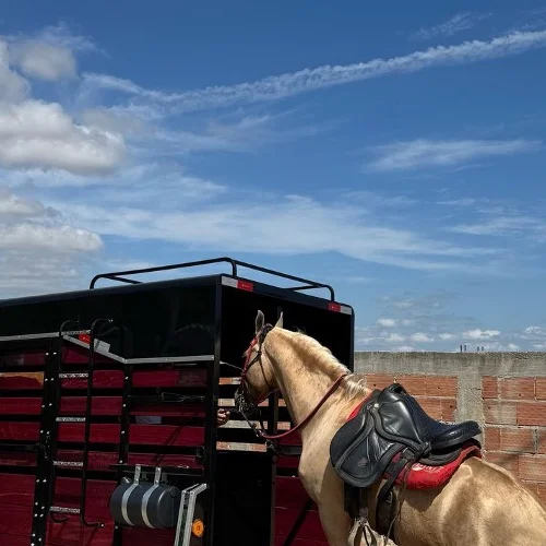 Carretinha Cavalo - Imagem 5