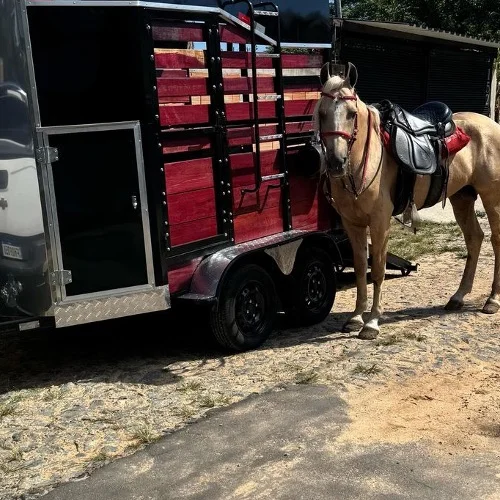 Carretinha Cavalo - Imagem 6