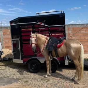 Carretinha Cavalo